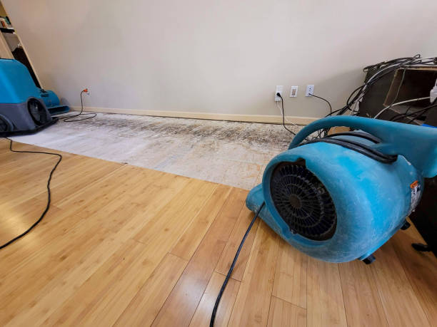 Professional Water Damage Repair technician working in Green, OH